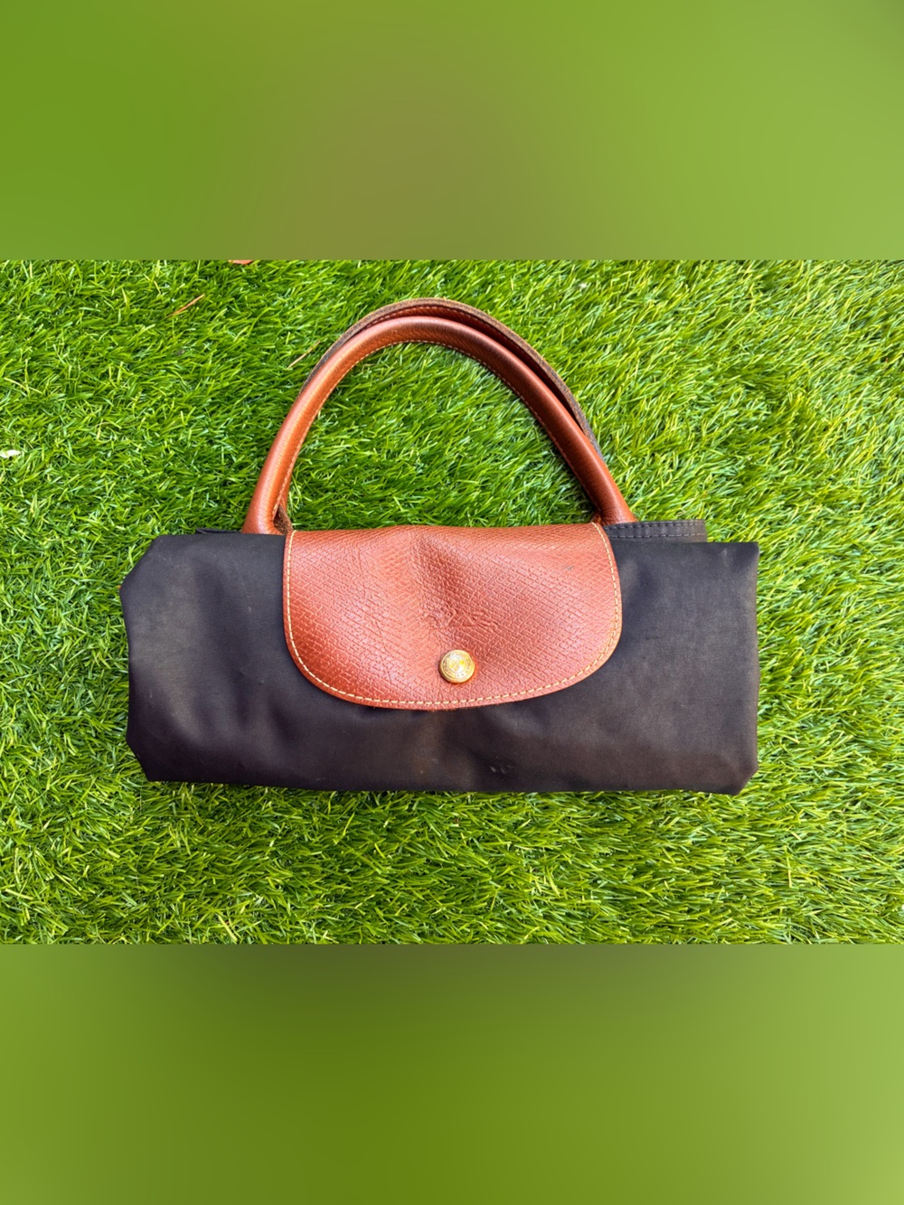Longchamp tote